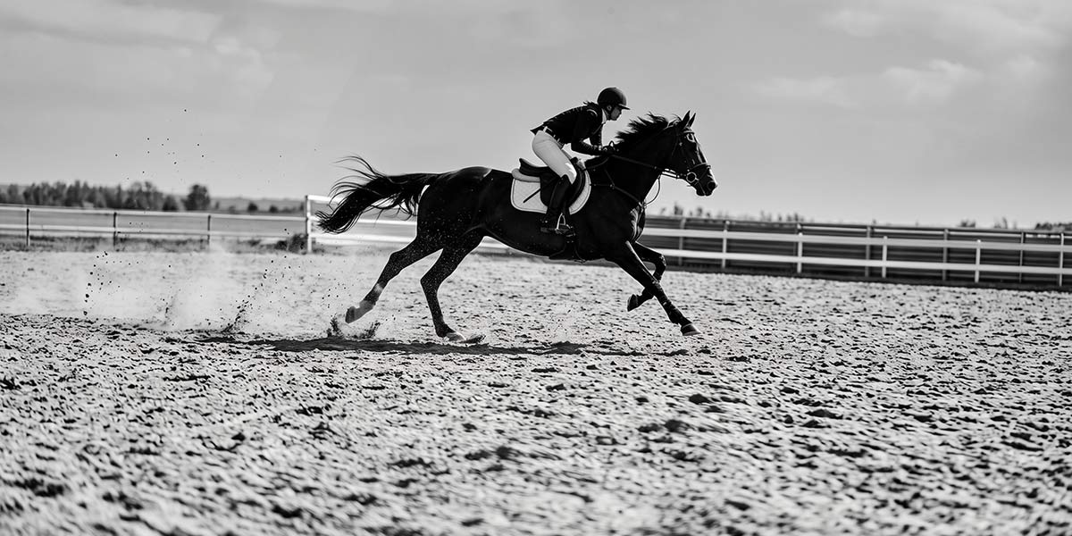 Specialized Sportswear Factory Introduces Artisan Craftsmanship and Advanced Splicing for Equestrian Breeches